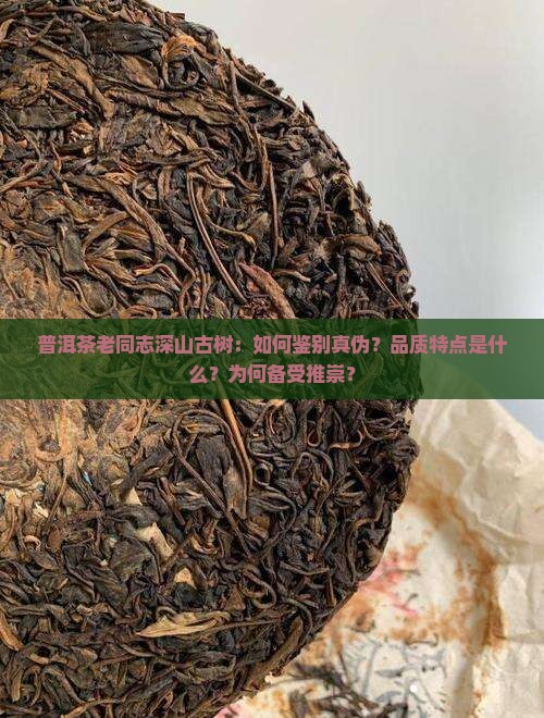 普洱茶老同志深山古树：如何鉴别真伪？品质特点是什么？为何备受推崇？
