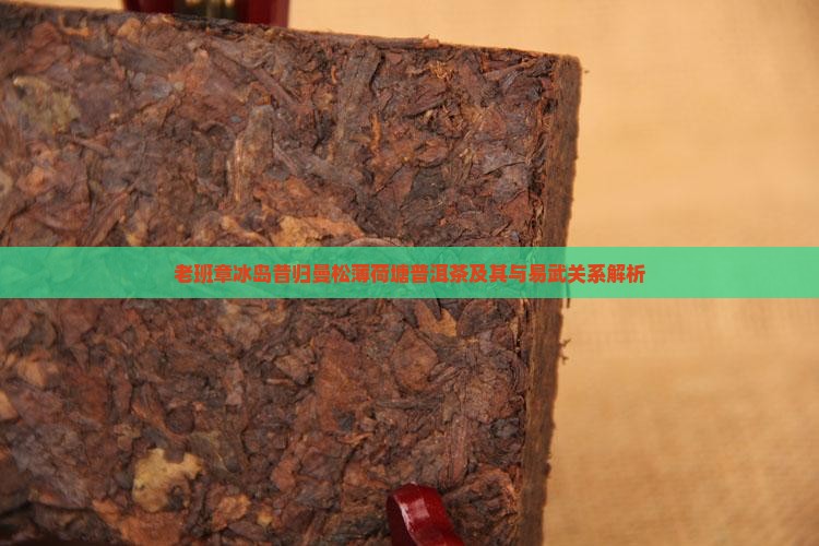 老班章冰岛昔归曼松薄荷塘普洱茶及其与易武关系解析