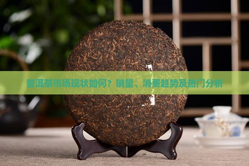 普洱茶市场现状如何？销量、消费趋势及热门分析