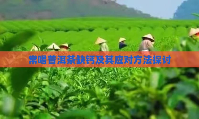 常喝普洱茶缺钙及其应对方法探讨