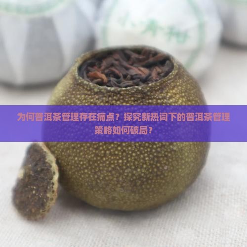 为何普洱茶管理存在痛点？探究新热词下的普洱茶管理策略如何破局？