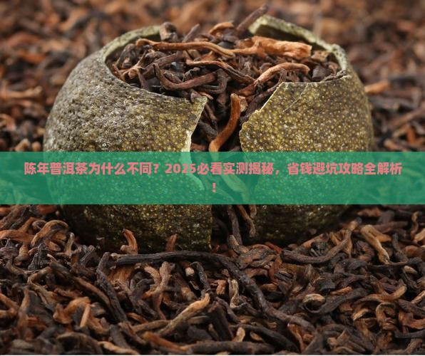 陈年普洱茶为什么不同