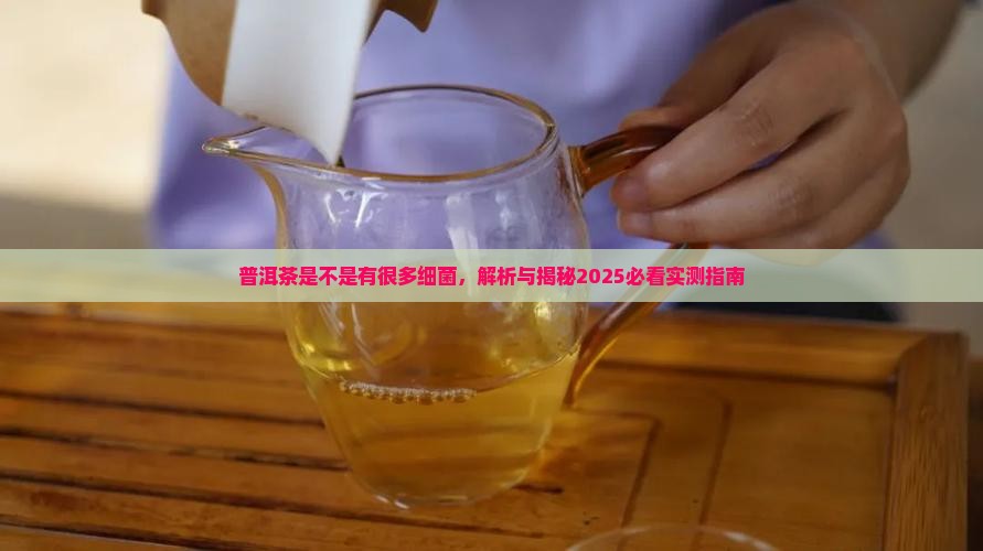 普洱茶是不是有很多细菌