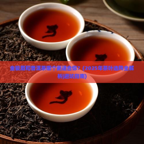 金骏眉茶叶好还是普洱茶好