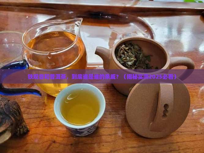 铁观音是属于普洱茶吗