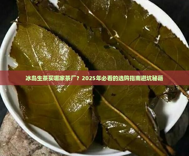 冰岛生茶哪家茶厂好