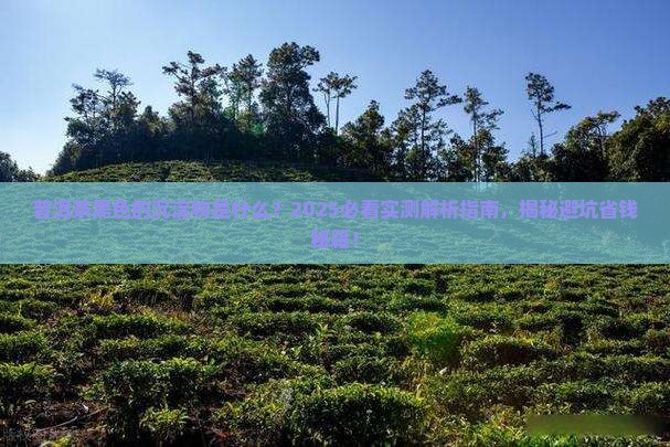 普洱茶黑色的沉淀物是什么