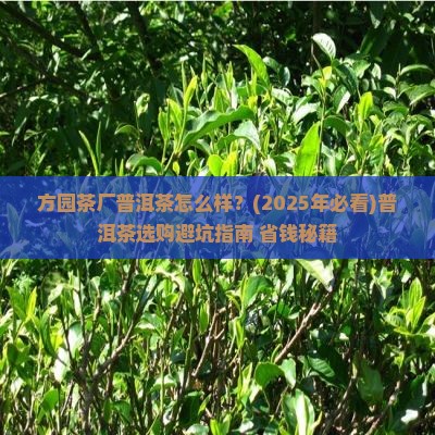 方园茶厂普洱茶怎么样