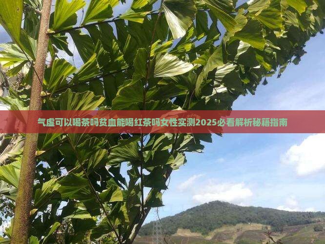 气虚可以喝茶吗贫血能喝红茶吗