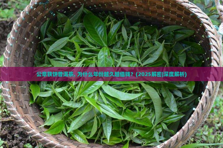 公章铁饼普洱茶