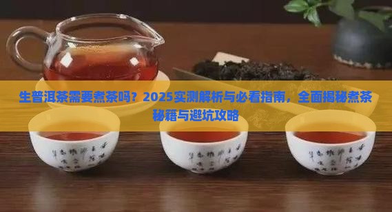 生普洱茶需要煮茶吗