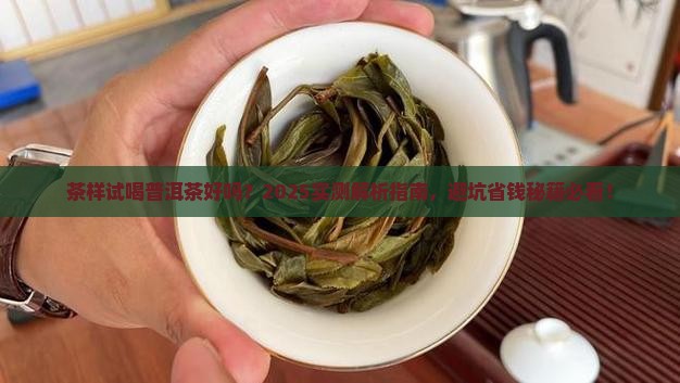 茶样试喝普洱茶好吗
