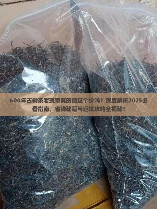 600年古树茶老班章