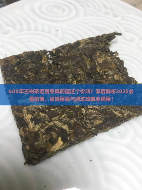600年古树茶老班章
