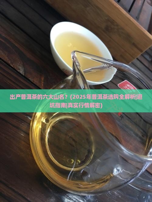 出产普洱茶的六大山名
