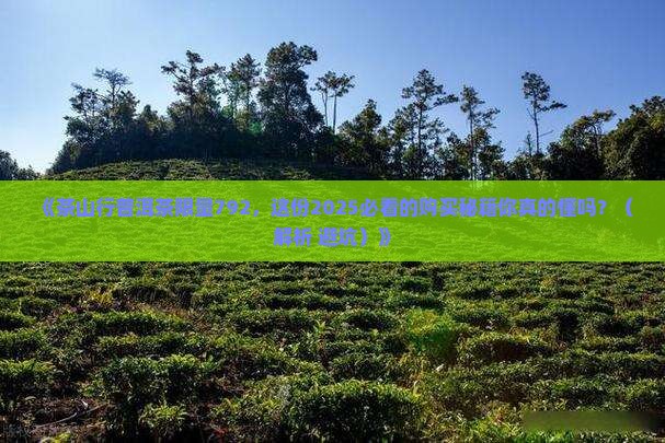 茶山行普洱茶限量792