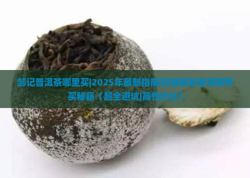 邹记普洱茶哪里买