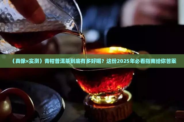 青柑普洱茶真好喝啊