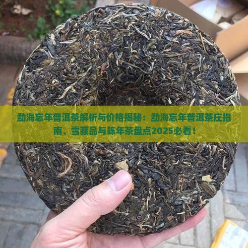 勐海忘年普洱茶