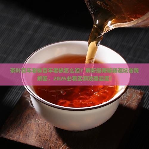 茶叶百年老枞百年老枞怎么泡