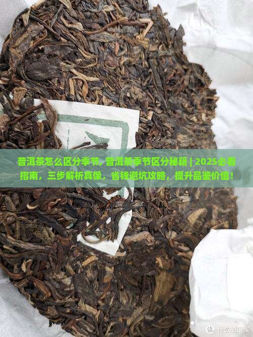 普洱茶怎么区分季节