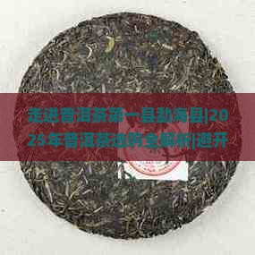 走进普洱茶第一县勐海县