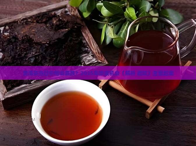 普洱茶当日价格