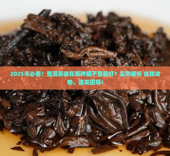 普洱茶装在什么罐子里好