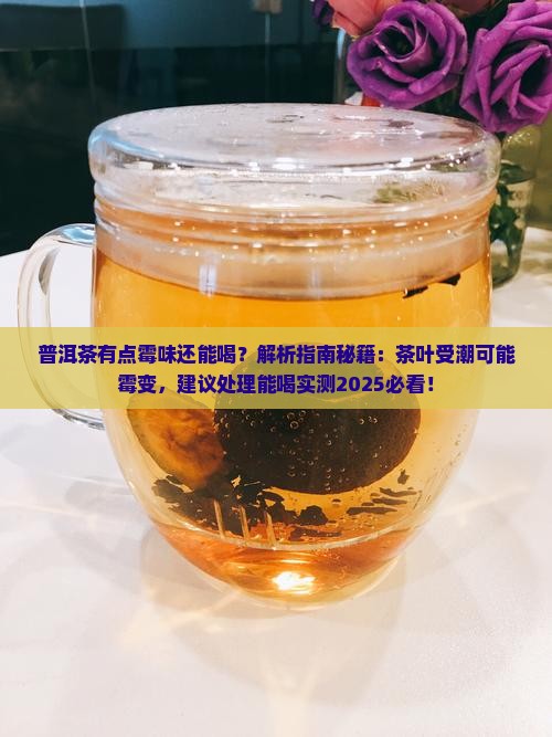 普洱茶有点霉味还能喝
