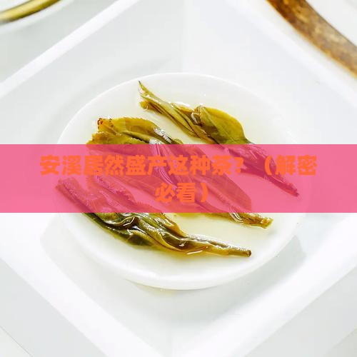 安溪盛产什么茶