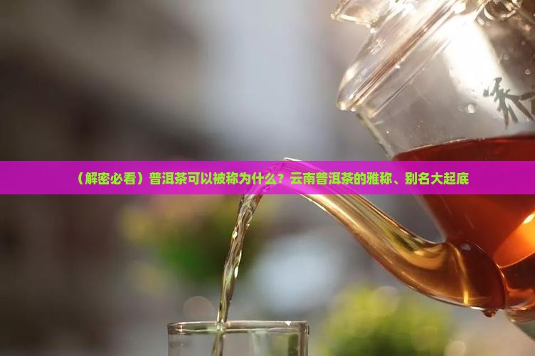 普洱茶可以称为什么