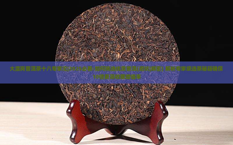 大渡岗普洱茶十八专家沱