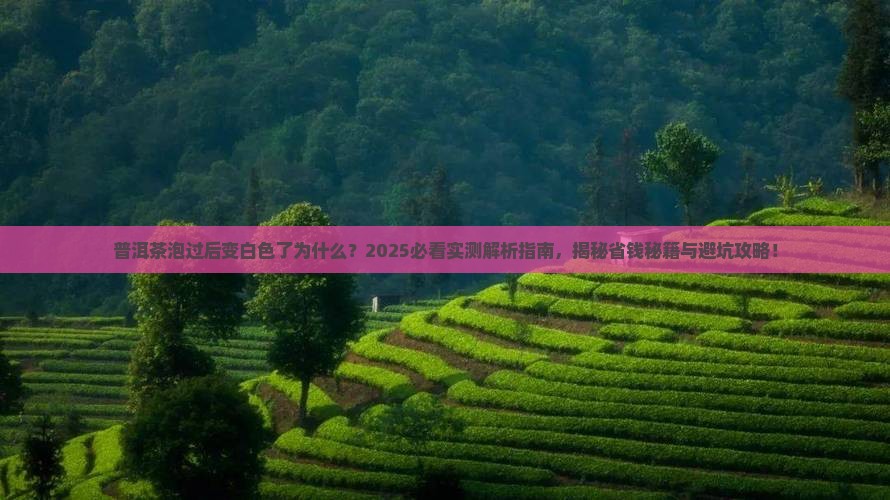 普洱茶泡过后变白色了为什么