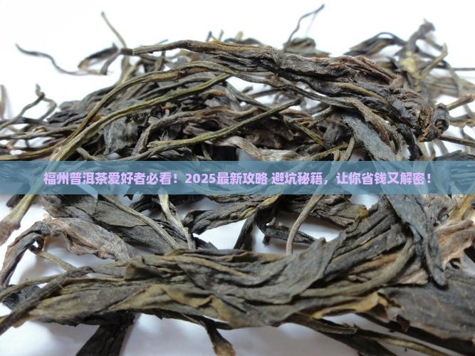 福州普洱茶咨询群电话