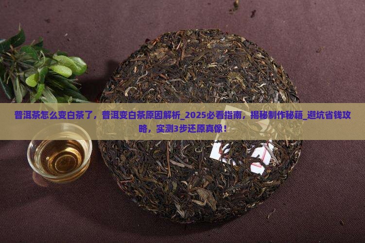 普洱茶怎么变白茶了
