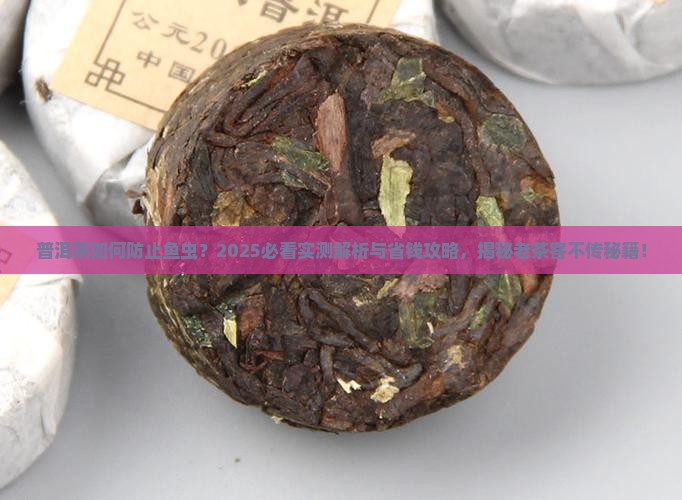 普洱茶如何防止鱼虫
