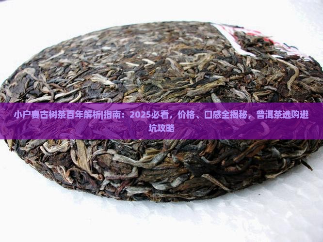 小户赛古树茶百年