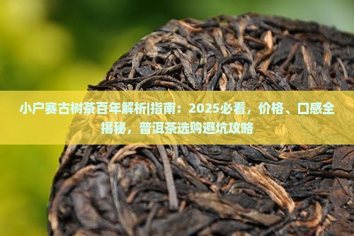 小户赛古树茶百年