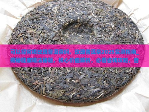 可以经常喝玫瑰普洱茶吗 可以经常喝玫瑰普洱茶吗