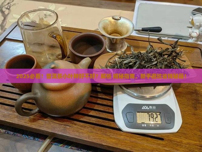 普洱茶小叶种好不好