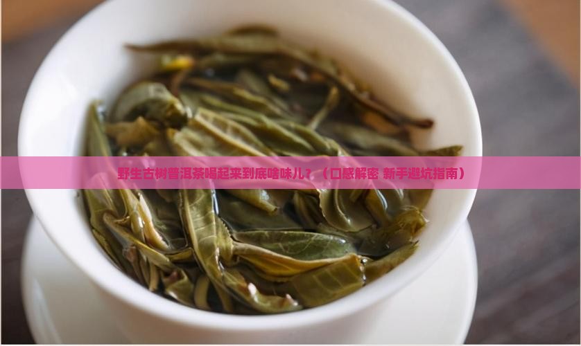 野生古树普洱茶的口感怎么样