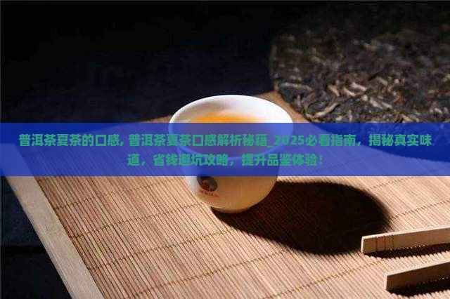 普洱茶夏茶的口感