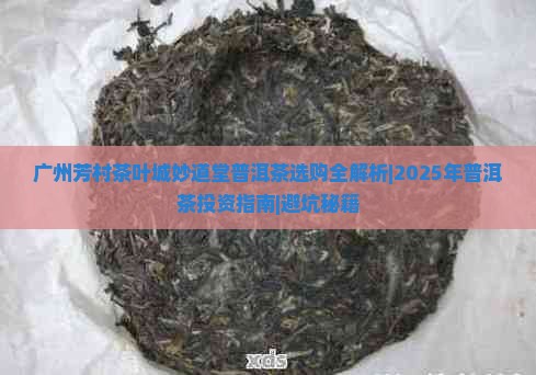 广州芳村茶叶城妙道堂普洱茶