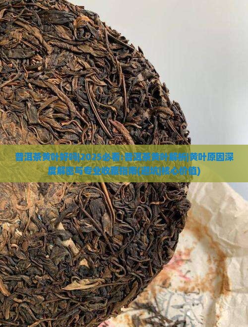普洱茶黄叶好吗