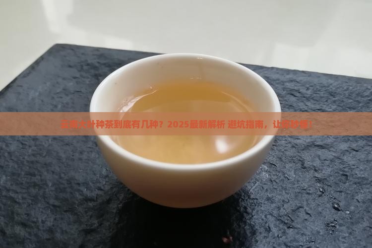 云南大叶种茶的分类