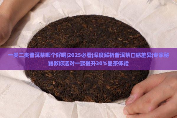 一类二类普洱茶哪个好喝