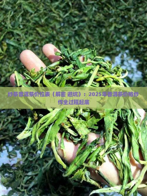 炒茶普洱茶价位表