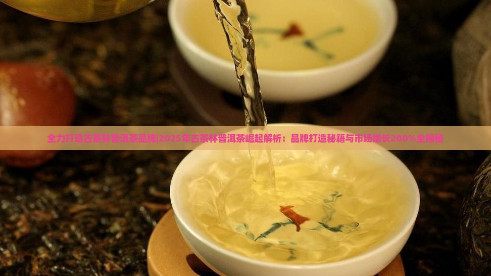全力打造古茶林普洱茶品牌