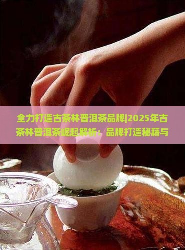 全力打造古茶林普洱茶品牌