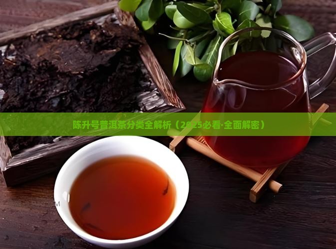陈升号普洱茶分类
